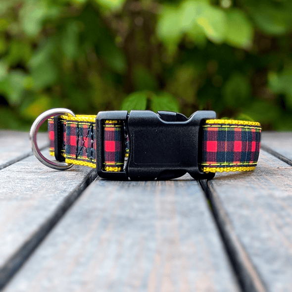 Cozy Cottage Dog Collar and Leash Set