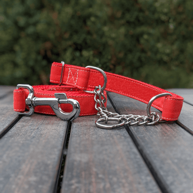 Fuego Red Martingale Dog Collar and Leash Set Silver Collection
