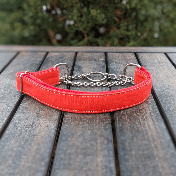 Fuego Red Martingale Dog Collar Silver Collection