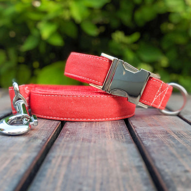 Fuego Red Dog Collar and Leash Set Silver Collection