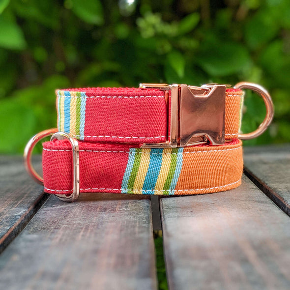 Strawberry and Orange Dog Collar and Leash Set Rose Gold Collection