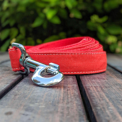 Fuego Red Dog Leash Silver Collection