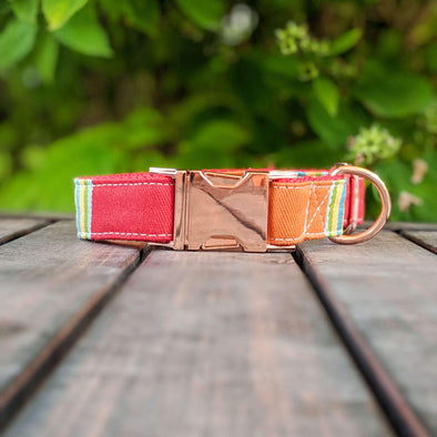 Strawberry and Orange Popsicle Dog Collar Rose Gold Collection