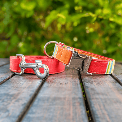 Strawberry and Orange Dog Collar and Leash Set Silver Collection
