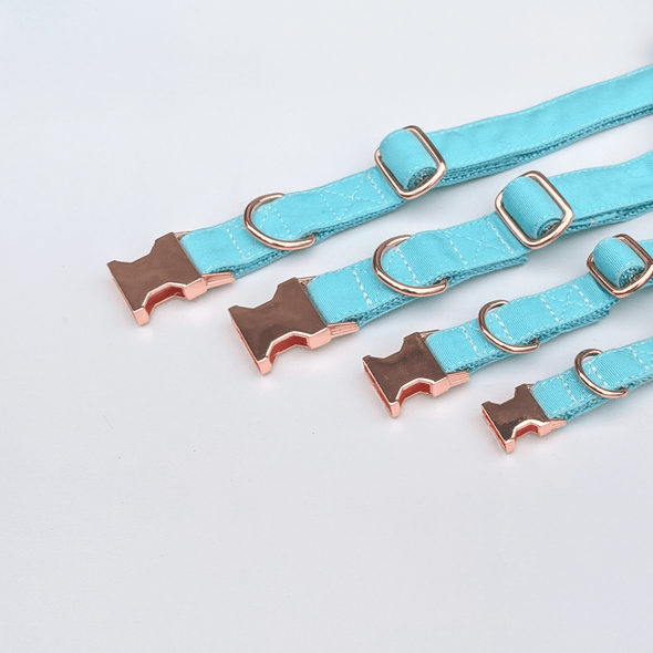 Aqua Getaway Dog Collar and Leash Set Rose Gold Collection