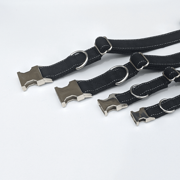 Onyx Dog Collar and Leash Set Silver Collection