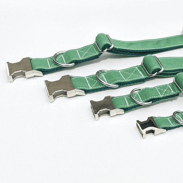 Evergreen Dog Collar Silver Collection