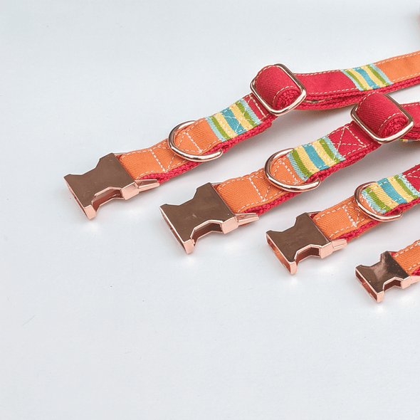 Strawberry and Orange Dog Collar and Leash Set Rose Gold Collection