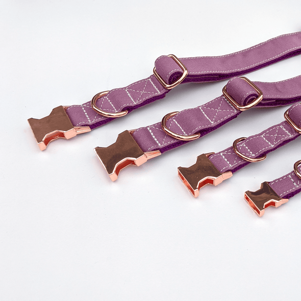 Amethyst Dog Collar Rose Gold Collection