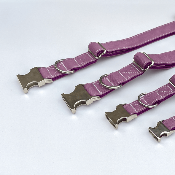 Amethyst Dog Collar and Leash Set Silver Collection