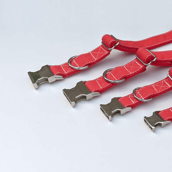 Fuego Red Dog Collar Silver Collection
