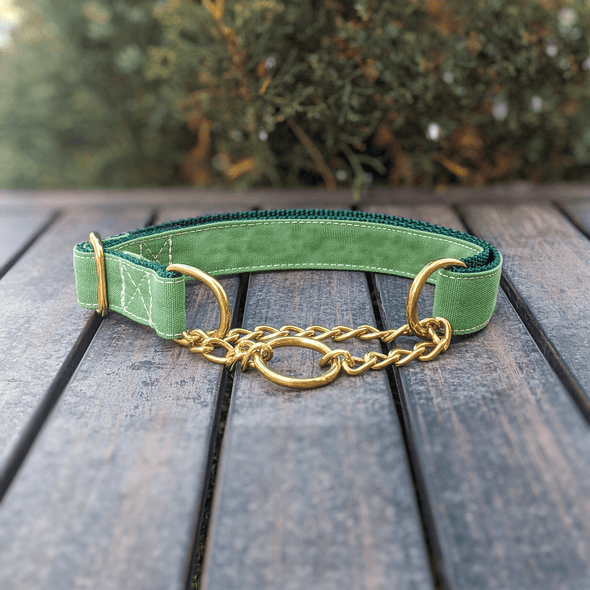 Evergreen Martingale Dog Collar Gold Collection