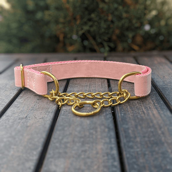 Pink Champagne Martingale Dog Collar Gold Collection