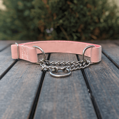 Pink Champagne Martingale Dog Collar Silver Collection