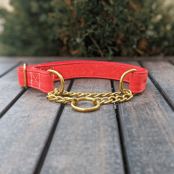 Fuego Red Martingale Dog Collar Gold Collection